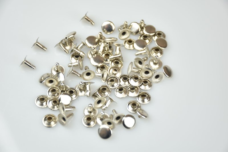 Хольнитены